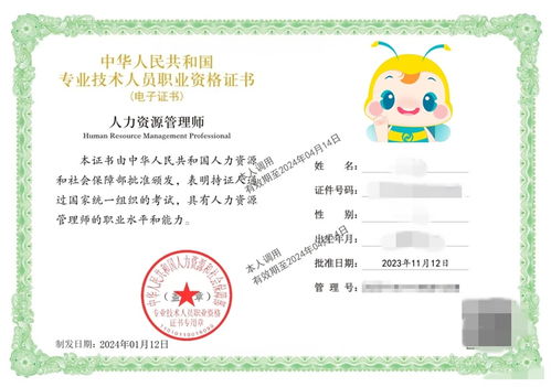 初中級(jí)經(jīng)濟(jì)師合格證書(shū)樣本 含人力 知識(shí)產(chǎn)權(quán)